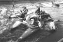 Eaux-vives a Lannion