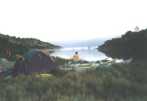 Bivouac dans les salicornes - St Florent