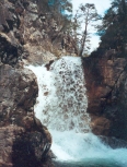 Cinqueta